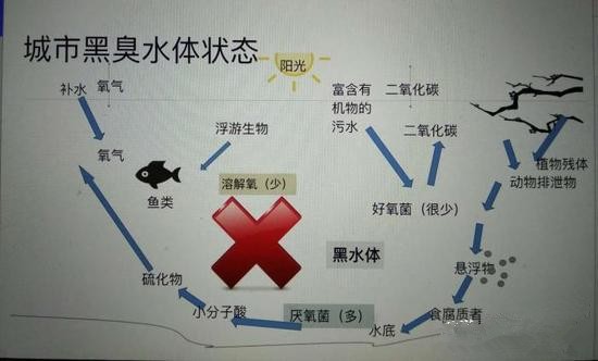江蘇億元投資治污新技術 石墨烯能否治理黑臭水體？