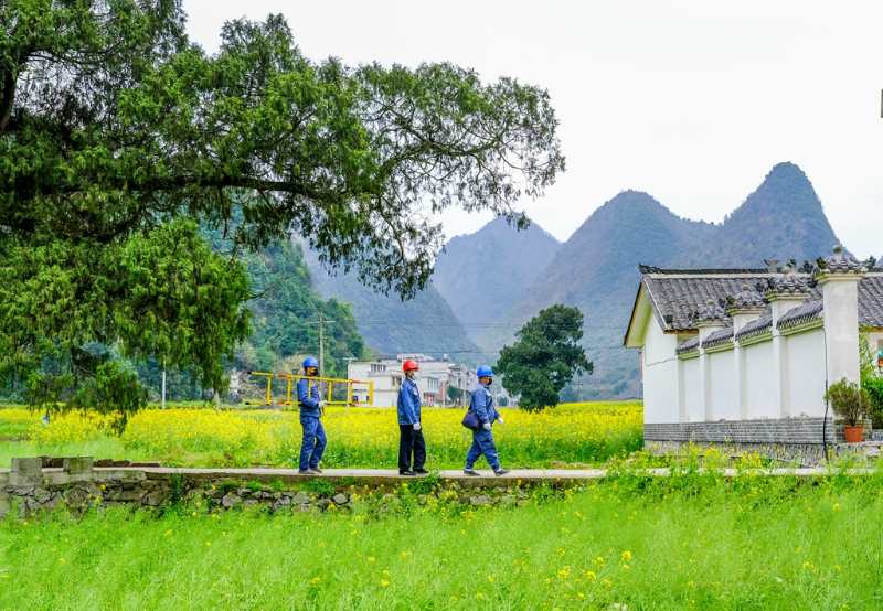 平塘供電局：“網(wǎng)格化”服務，護航“菜籃子”