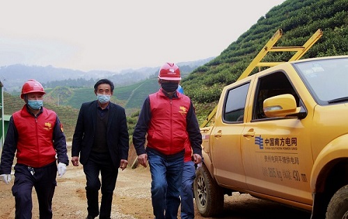 平塘供電局：“加減法”同構服務，護航“貴州春茶第一壺”