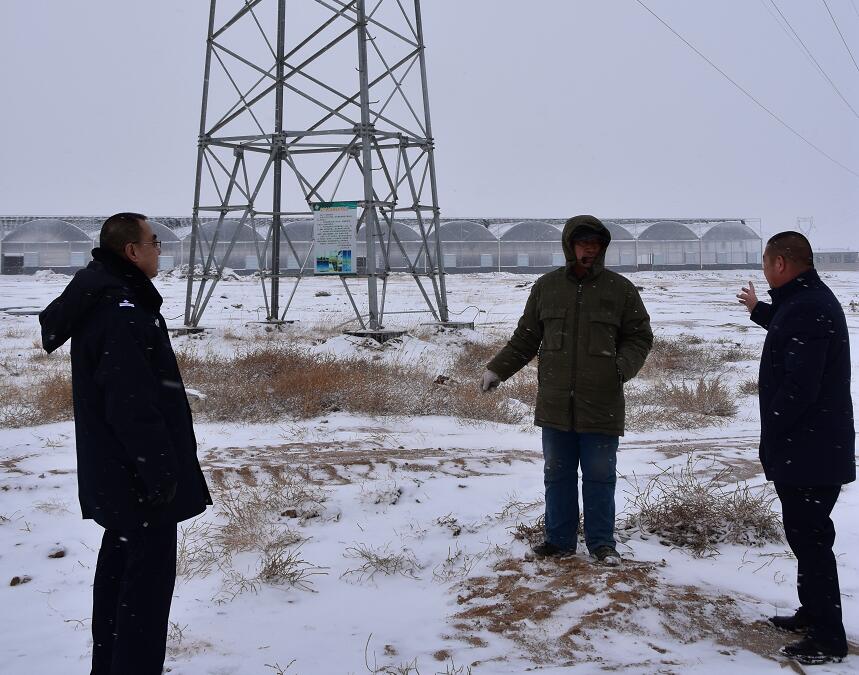 二連浩特供電公司：開展客戶側(cè)安全檢查，確?？诎犊蛻粝楹兔髁吝^春節(jié)