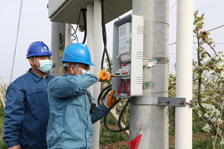 國網(wǎng)諸城市供電公司電力足，千畝梨園花正濃