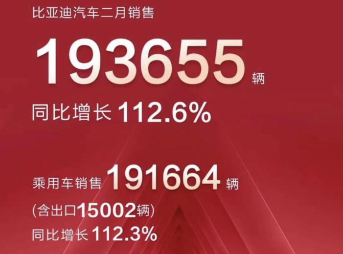 2月新能源車(chē)企成績(jī)單出爐，比亞迪一騎絕塵