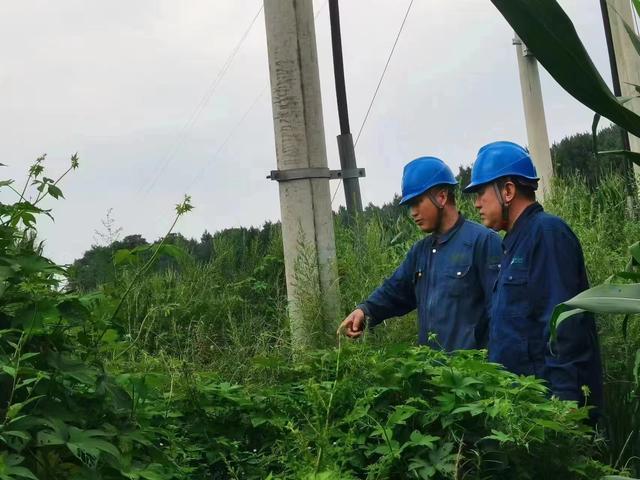 國網長春供電公司積極應對極端天氣，確保線路設備穩(wěn)定運行