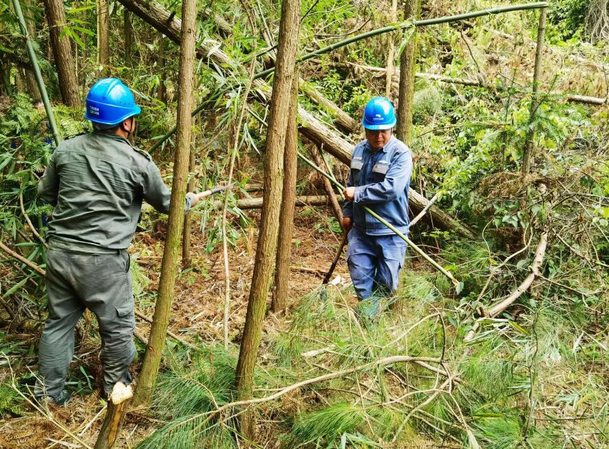 南方電網(wǎng)荔波供電局線路憂患如“猛獸”，通道清通要爭先